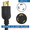 Locking NEMA L6-30P Plug